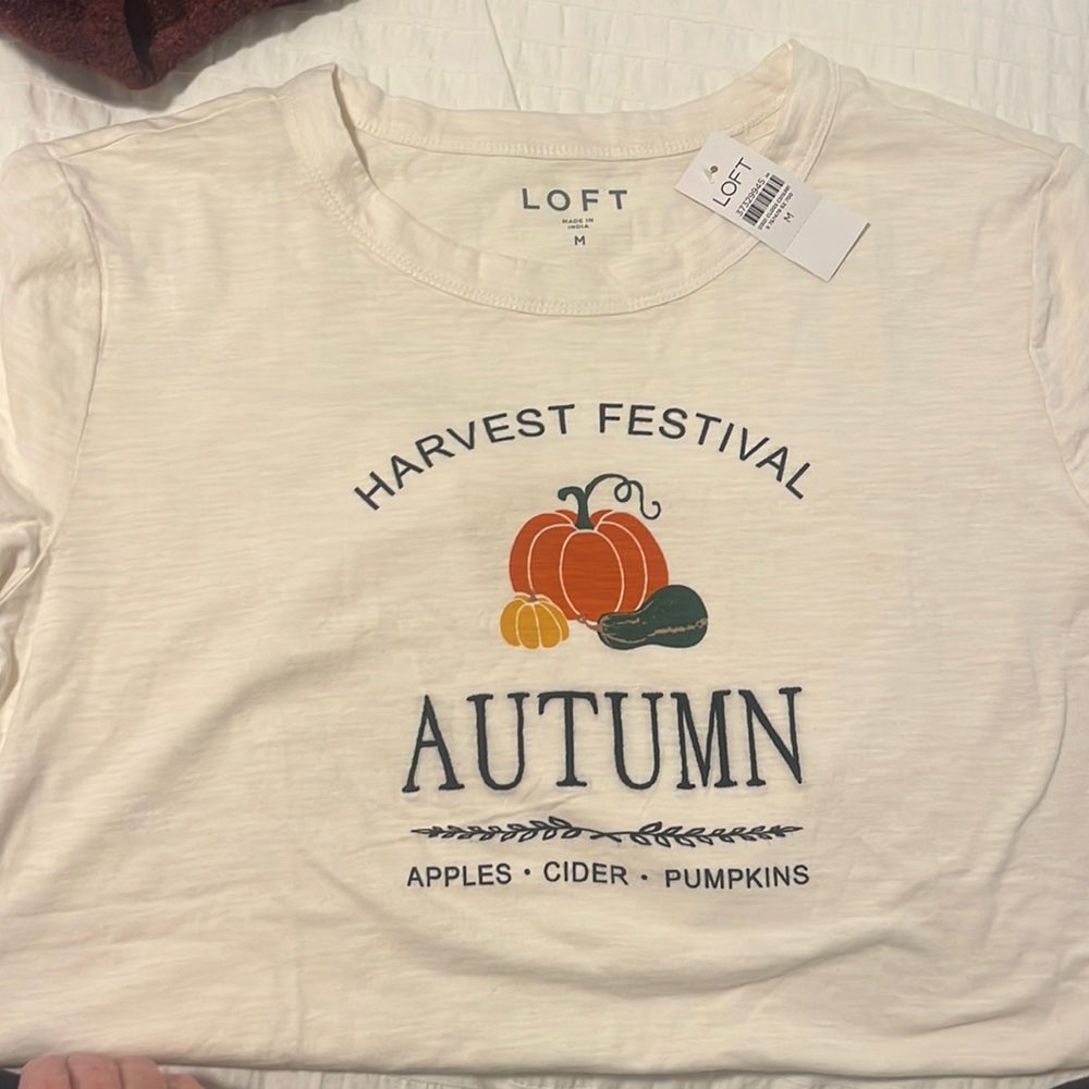 NWT Ann Taylor Loft fall pumpkin Harvest Festival shirt - size M